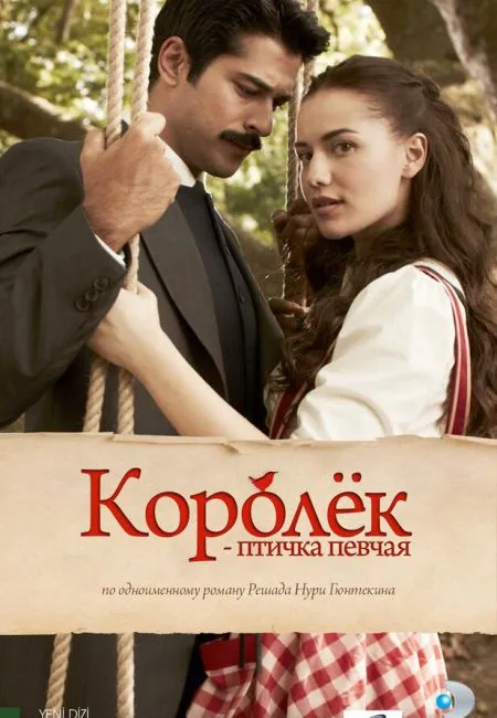 Королёк – птичка певчая